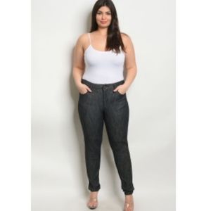 Dark Wash Skinny Stretch Jeans (1x-2x)